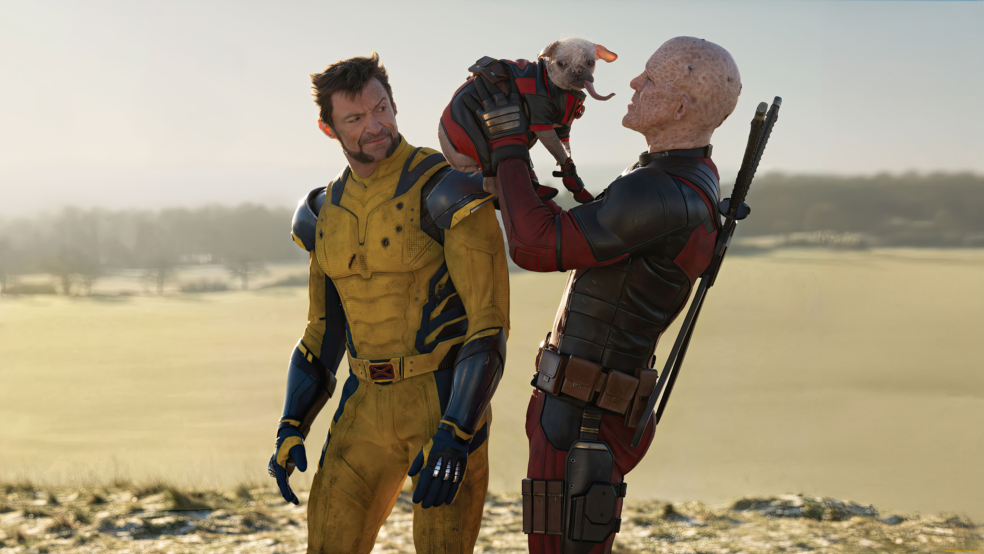 deadpool & wolverine  ,  2024 ,  , deadpool & wolverine, , , , , , , , , , , 